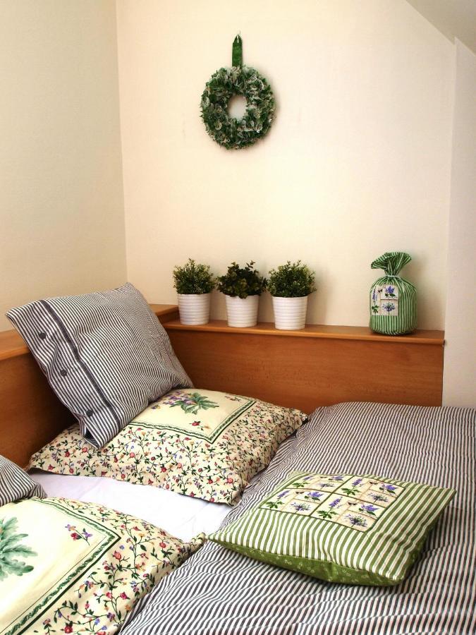 Apartman 6 U Sjezdovek Rokytnice nad Jizerou Ngoại thất bức ảnh